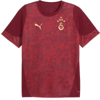 Galatasaray Istanbul Patterned DRYCELL Training Jersey