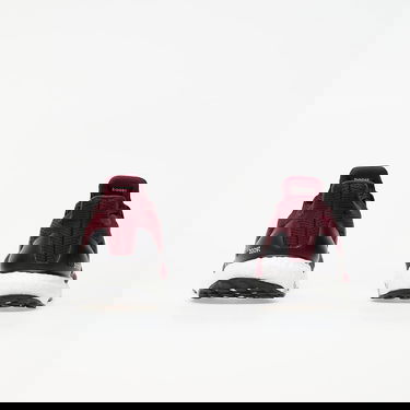 Tenisky a topánky adidas Performance Ultraboost LTD Vínová | AF5836, 3