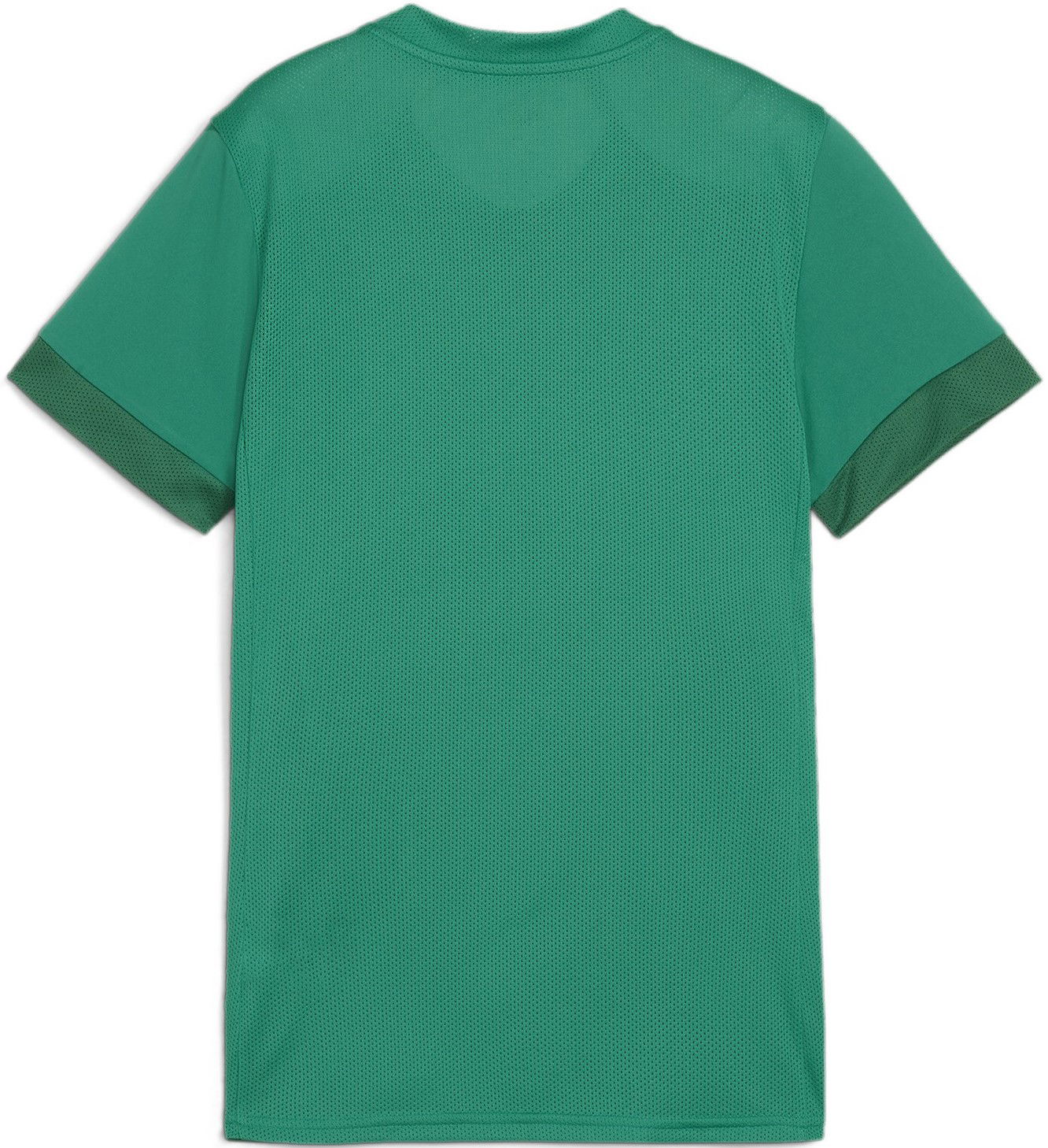 Dres Puma teamGOAL Matchday Jersey Wmns Zelené | 705749-05, 1