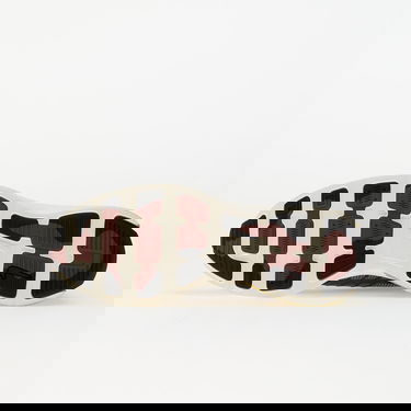 Tenisky a topánky Nike Lunar Roam Se Šedá | FZ8116-300, 1