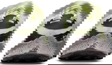 Tenisky a topánky Nike Pegasus Trail 3 GTX Zelené | dc8794-301, 4