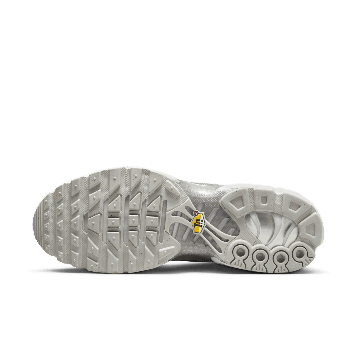 Tenisky a topánky Nike Air Max Plus Šedá | FJ1012-095, 1