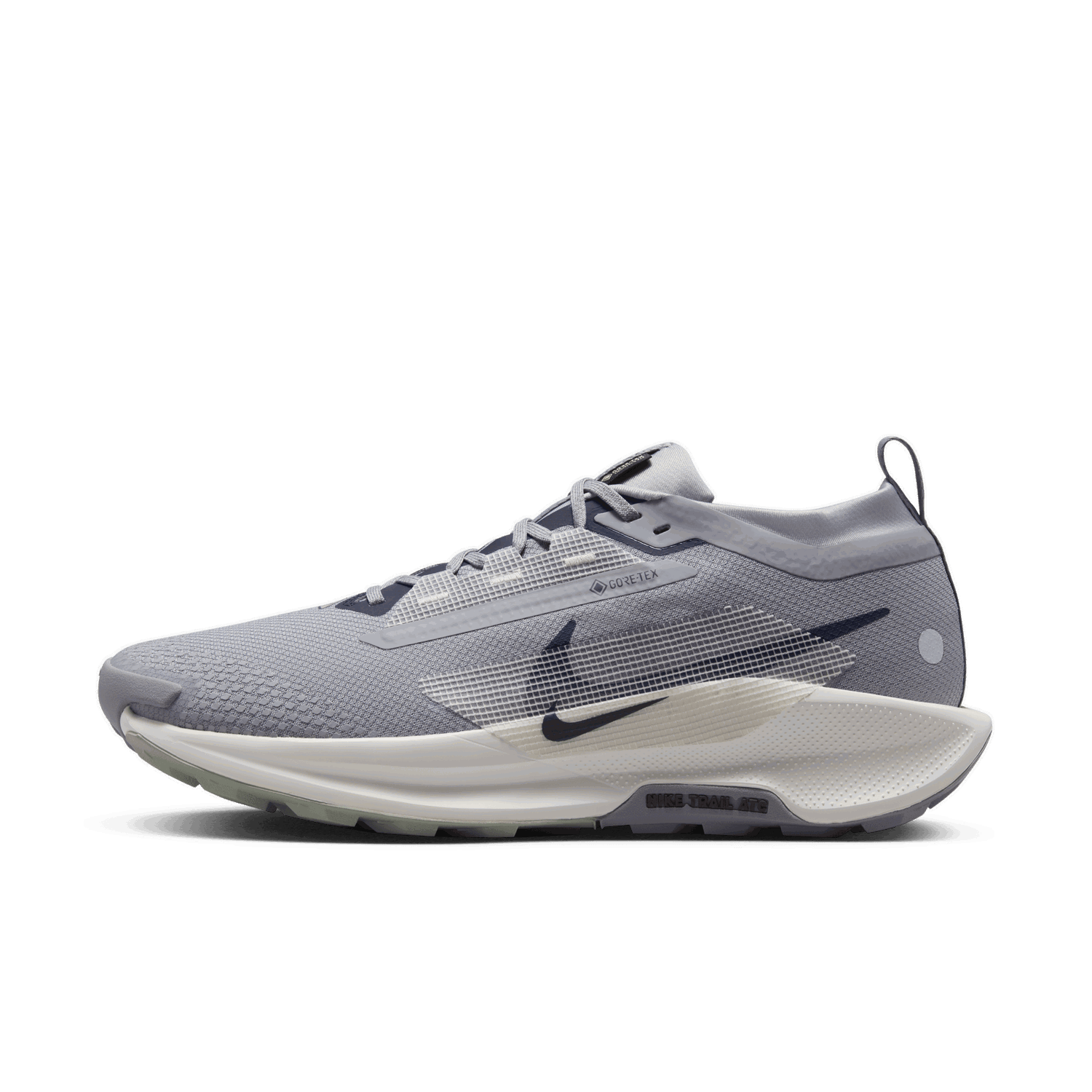 Tenisky a topánky Nike Pegasus Trail 5 GORE-TEX Šedá | FQ0908-006, 0
