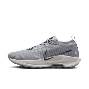 Tenisky a topánky Nike Pegasus Trail 5 GORE-TEX Šedá | FQ0908-006, 0