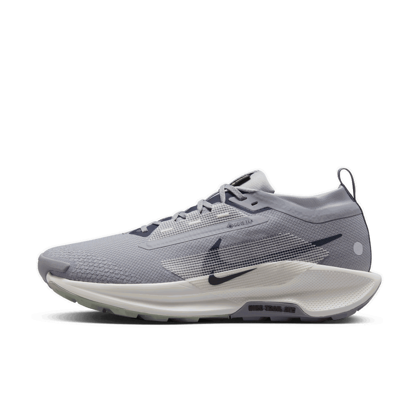 Tenisky a topánky Nike Pegasus Trail 5 GORE-TEX Šedá | FQ0908-006