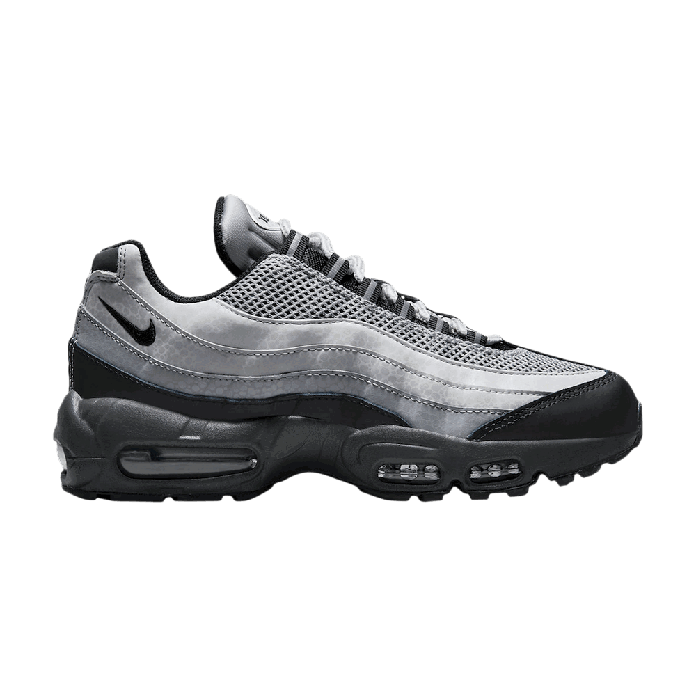 Tenisky a topánky Nike Air Max 95 Šedá | DV5581-001, 0