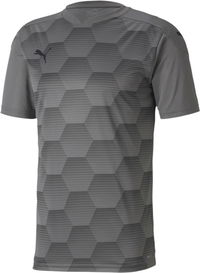 Puma teamFINAL 21 Graphic T-Shirt