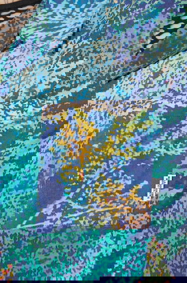 Košeľa BILLIONAIRE BOYS CLUB Willderness Relaxed Printed Camp Collar Shirt Rôznofarebný | B23425, 5