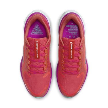 Tenisky a topánky Nike Pegasus 41 GORE-TEX Červená | HM8870-600, 2