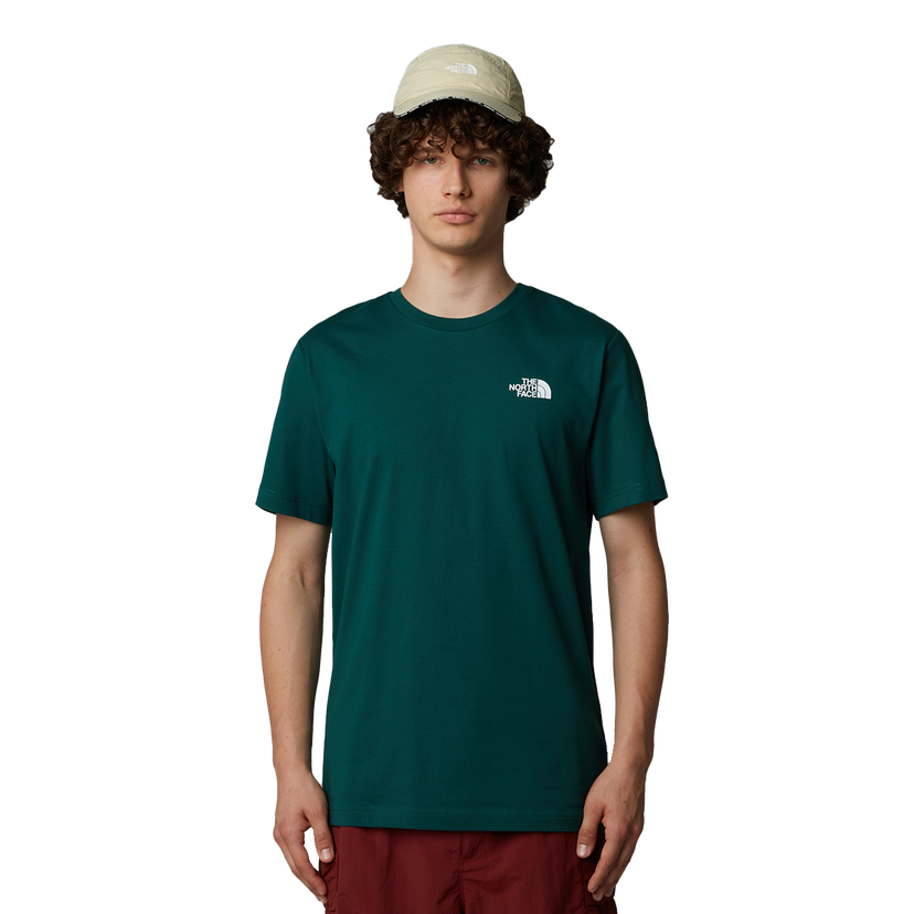 Tričko The North Face T-Shirt Celebration Zelené | NF0A87NV6GI1