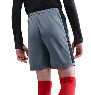 Šortky Nike Dri-FIT Academy 25 Shorts Šedá | hj3718-066, 1