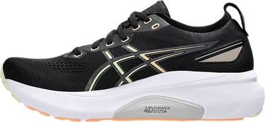 Tenisky a topánky Asics GEL-KAYANO 31 Čierna | 1011b867-003, 1
