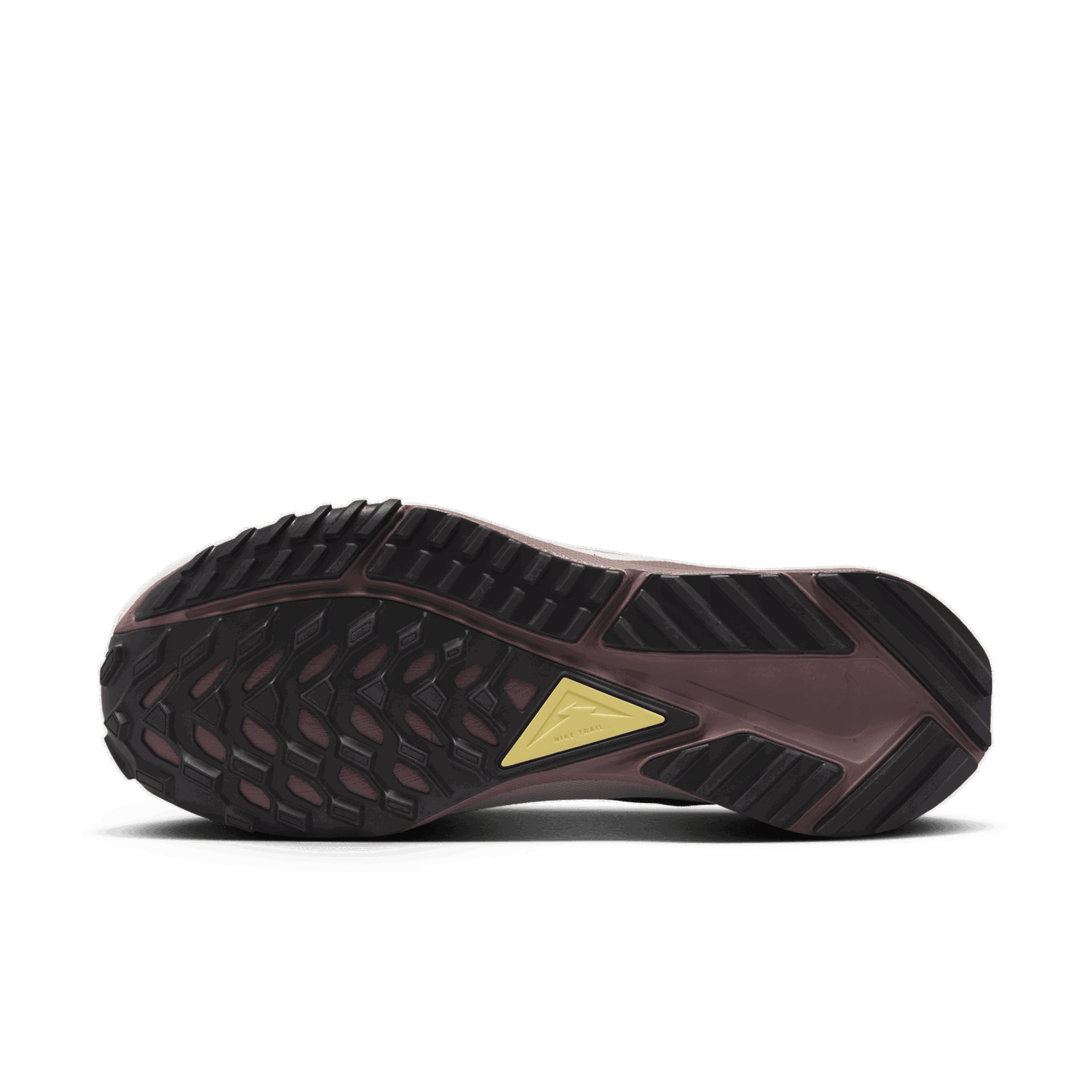 Tenisky a topánky Nike Pegasus Trail 4 GORE-TEX Fialová | DJ7929-201, 1