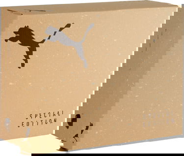 Tenisky a topánky Puma Puma KING ULTIMATE FG/AG Čierna | 107554-01, 4