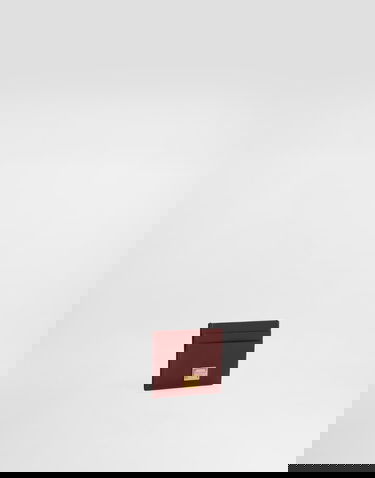 Peňaženka Dolce & Gabbana Dolce & Gabbana Plongé Calfskin Card Holder Vínová | BI0330A9S2580346, 1