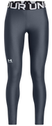 Under Armour HG Leggings