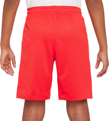 Šortky Nike Dri-FIT Paris Saint-Germain Stadium 2025/26 Third Shorts Červená | hm4132-679, 1