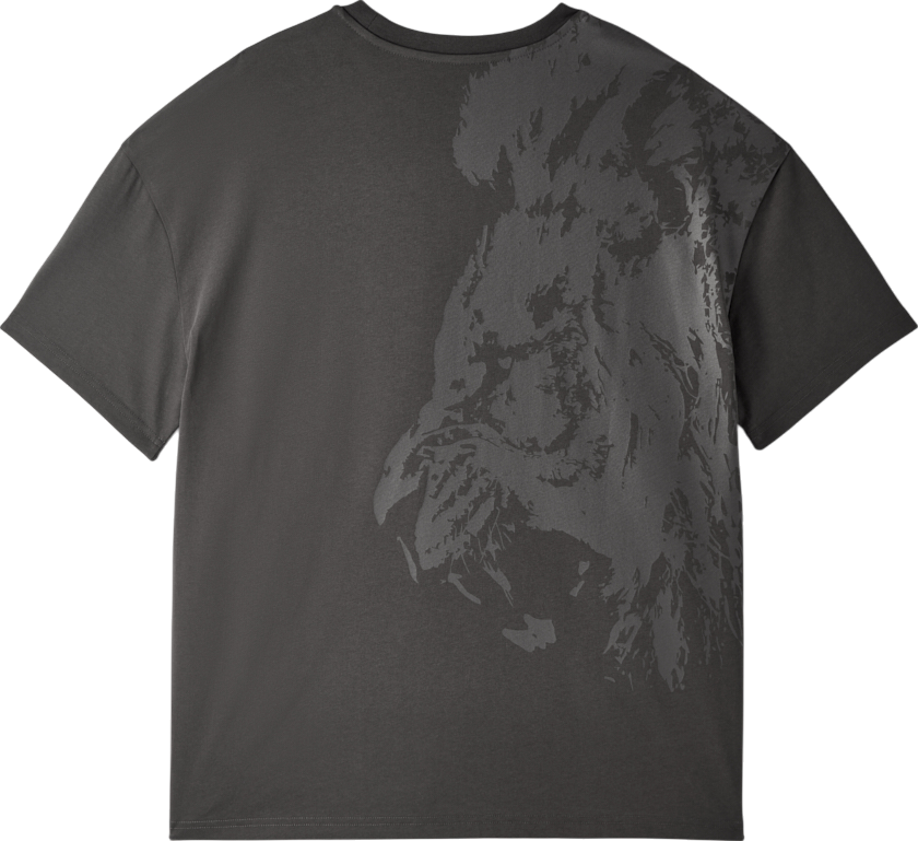 Tričko Puma Galatasaray Istanbul 1905 T-Shirt Šedá | e251058-304, 1