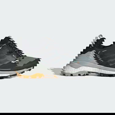 Tenisky a topánky adidas Performance Terrex Skychaser GRTX Hiking 2.0 Šedá | IE6893, 1