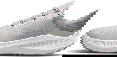 Tenisky a topánky Nike Winflo 8 Premium W Šedá | da3056-001, 0