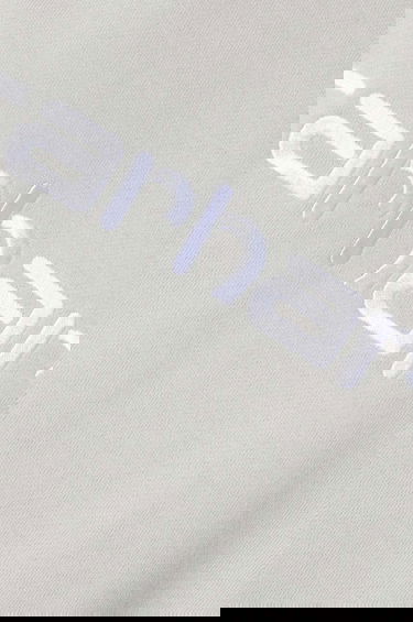 Mikina Carhartt WIP Sweatshirt with embroidered logo Šedá | I033647.2AXXX, 5