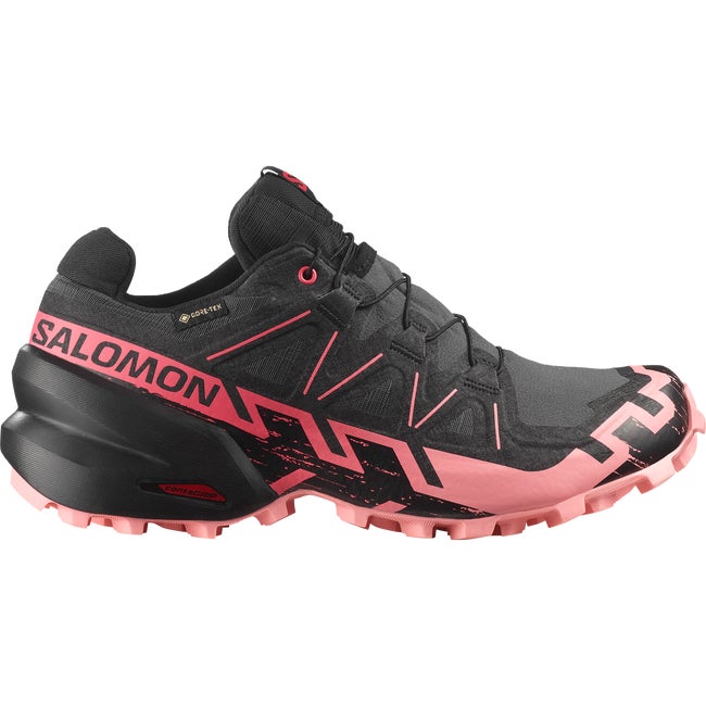 Tenisky a topánky Salomon Speedcross 6 Gore-tex Rôznofarebný | L47880400