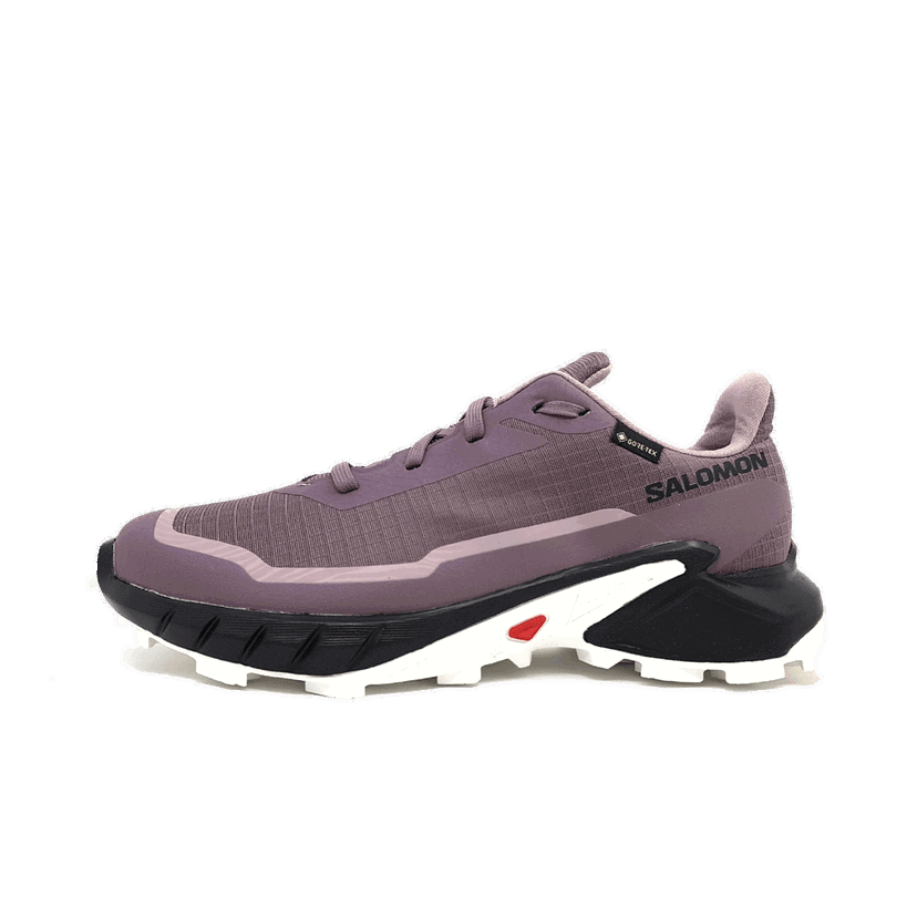 Tenisky a topánky Salomon ALPHACROSS 5 GTX Fialová | L47311000