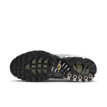 Tenisky a topánky Nike Air Max Plus Šedá | DV7665-002, 1