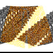 Leopard Print Shorts