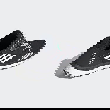 Tenisky a topánky adidas Performance Terrex Agravic BOA Čierna | FY9458, 1