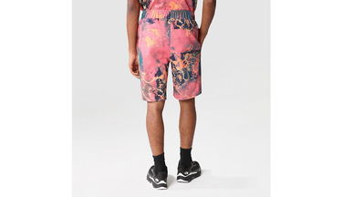 Šortky The North Face M Summer Logo Shorts Rôznofarebný | NF0A8237IOC, 6