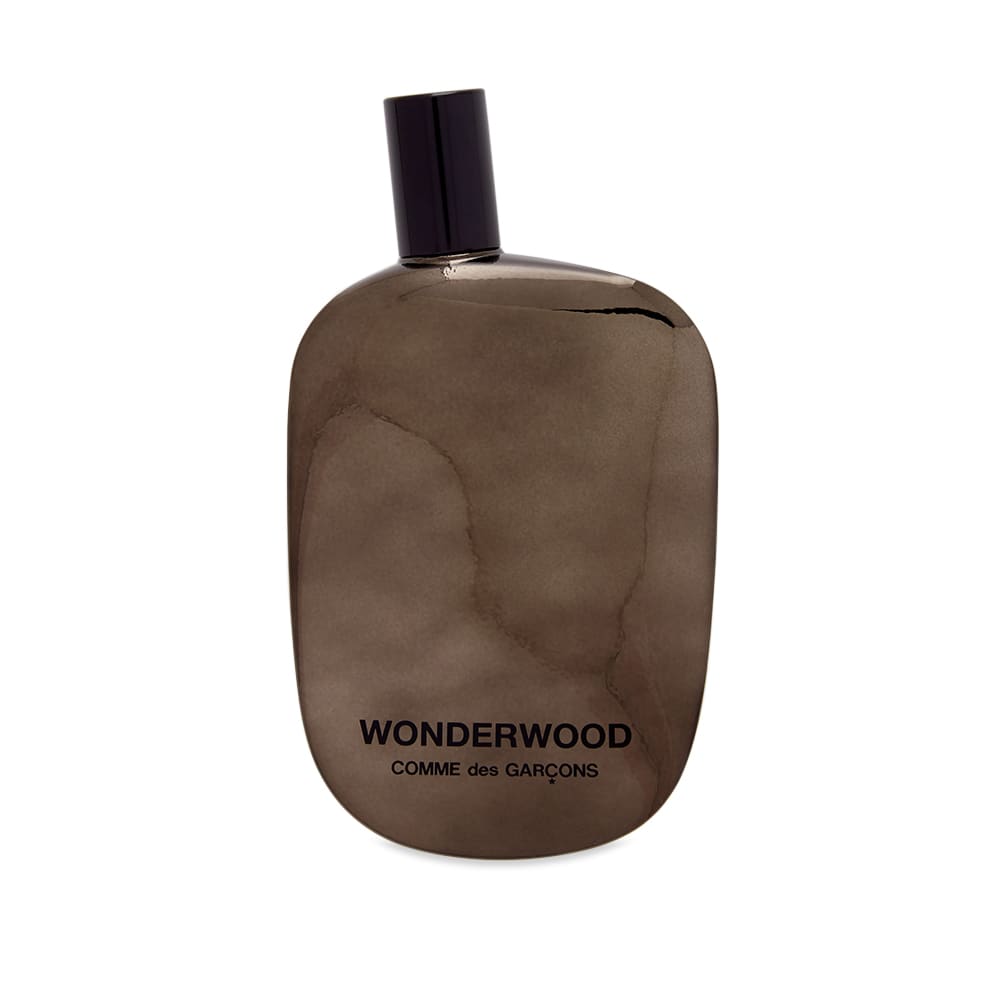 Parfémy a vône Comme des Garçons Wonderwood Eau de Parfum in 100ml Hnedá | 65037654, 0