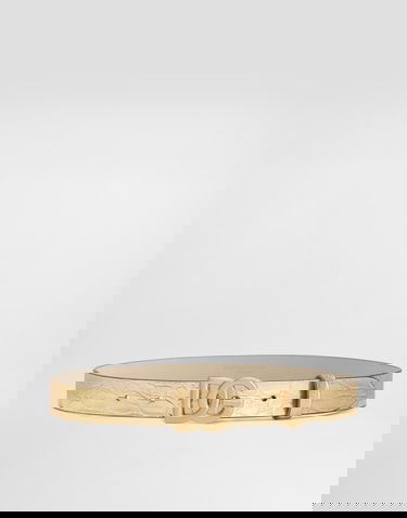Opasok Dolce & Gabbana Crocodile Print Calfskin Belt Metalická | EE0068AC4598H944, 0