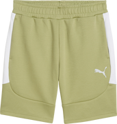 Puma teamEvostripe Shorts