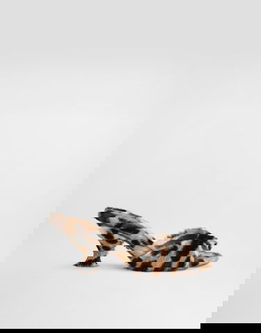 Tenisky a topánky Dolce & Gabbana Leopard-print Keira Mules Rôznofarebný | CR1964A00818Z886, 0