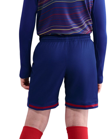 Šortky Nike FCB Y NK DF Stadium HM 2025/26 Shorts Modrá | hj5589-455, 4