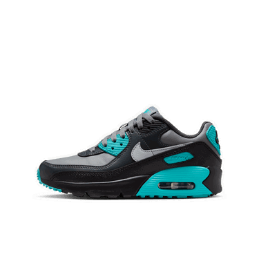 Tenisky a topánky Nike Air Max 90 LTR Tyrkysová | CD6864-027, 1