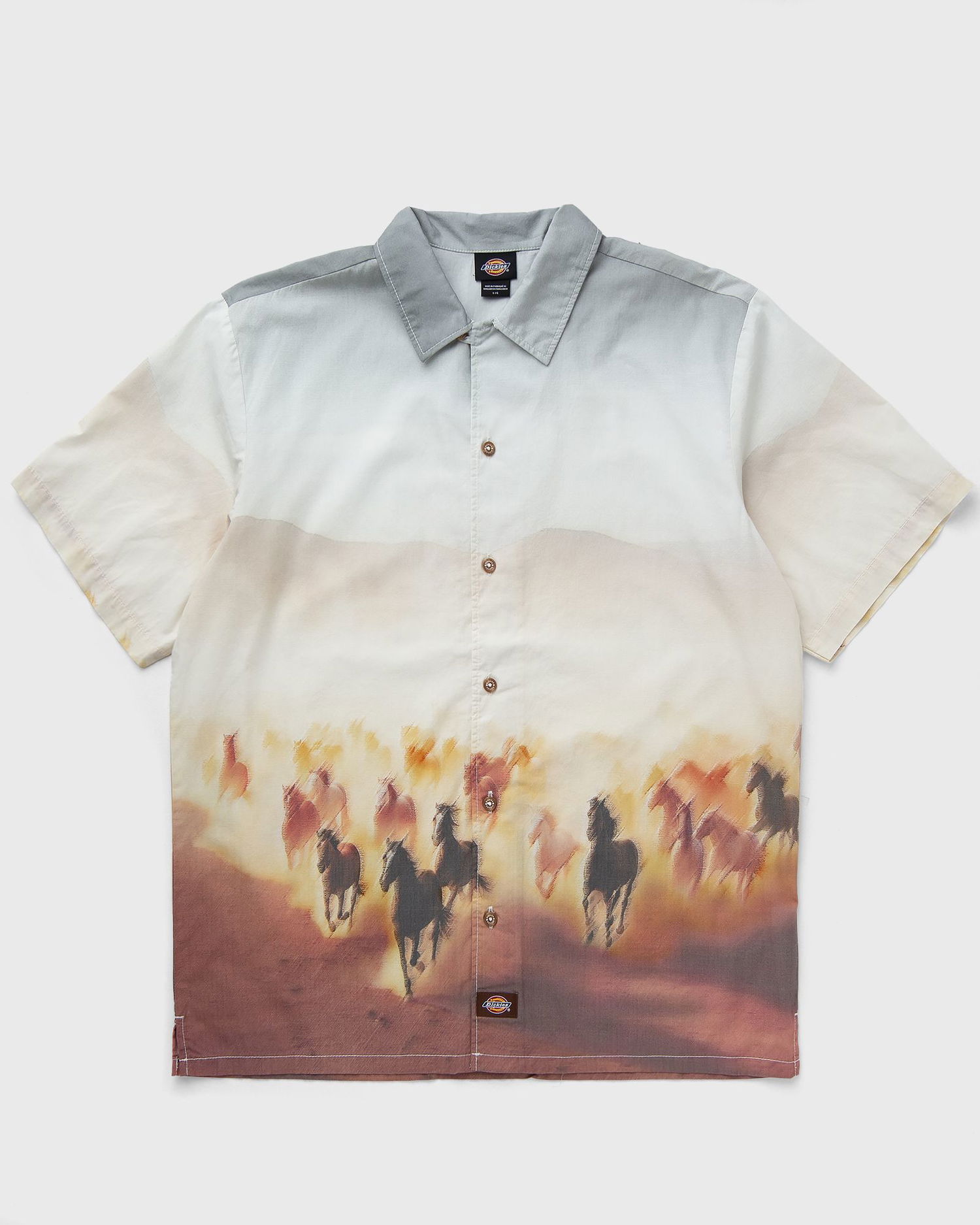 Košeľa Dickies Running Wild Woven Shirt Rôznofarebný | DK0A8676K411, 1