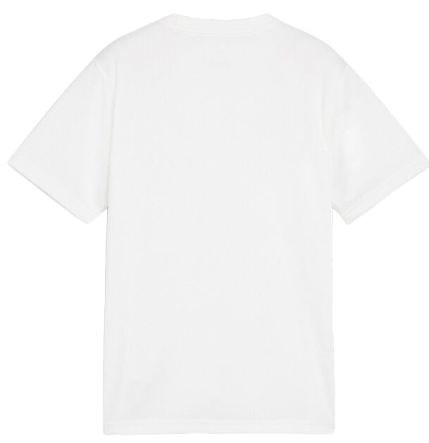 Tričko Puma teamGOAL T-Shirt Biela | 658636-04, 1