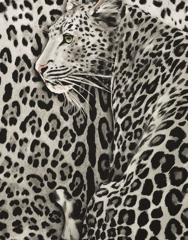 Home decor Dolce & Gabbana Leopard Print Silk Twill Square Scarf Rôznofarebný | FN092RGDCUVHI5LD, 2