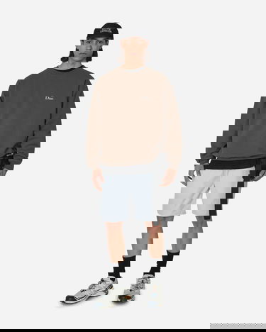 Sveter Dime Classic Small Logo Crewneck Hnedá | DIMESU2315DRI, 4