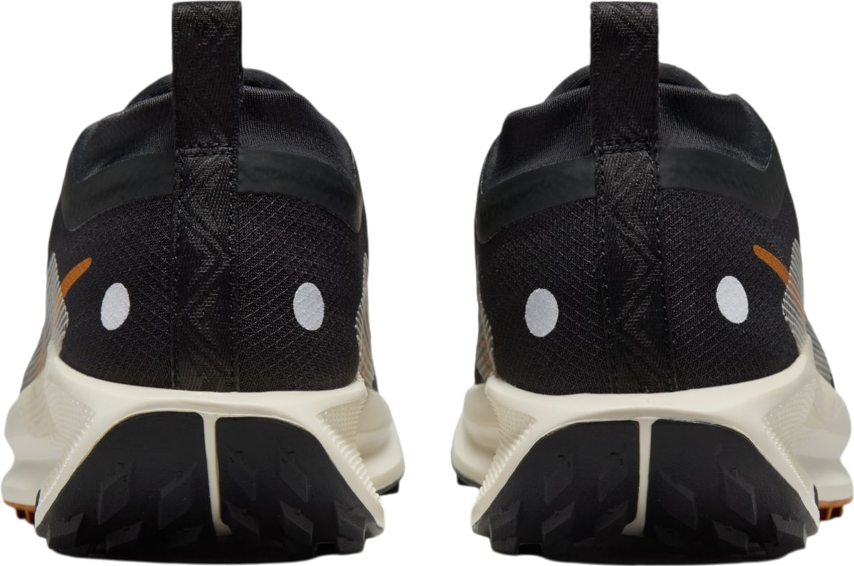 Tenisky a topánky Nike Pegasus Trail 5 GORE-TEX Čierna | fq0912-005, 1