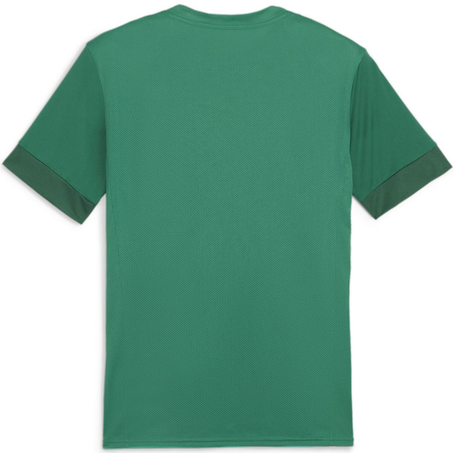 Dres Puma teamGOAL Matchday Jersey Zelené | 705747-05, 1