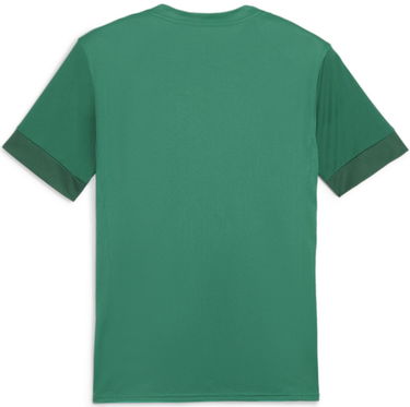 Dres Puma teamGOAL Matchday Jersey Zelené | 705747-05, 1