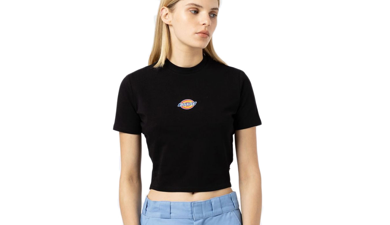 Tričko Dickies Maple Valley Tee Čierna | DK0A4XPO-DKBLK, 0