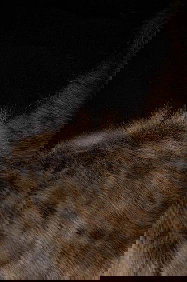 Klobúk Barbour Barbour Trapper Hat Čierna | MHA0711, 3