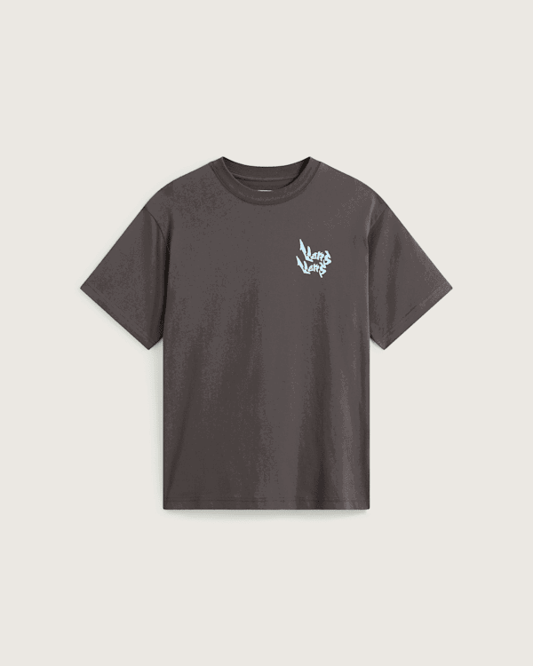 Tričko Vans Heavy Thinker Loose Fit Short Sleeve T-Shirt Šedá | VN000RFMEMV