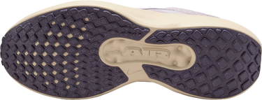 Tenisky a topánky Nike Winflo 11 Fialová | fj9510-200, 1