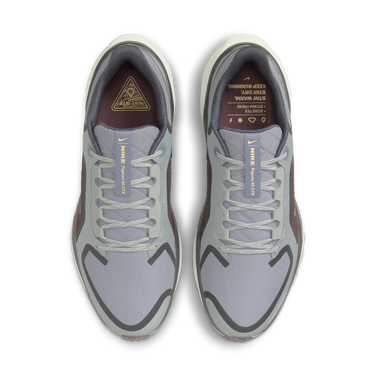 Tenisky a topánky Nike Pegasus 41 GORE-TEX Šedá | FQ1356-003, 4