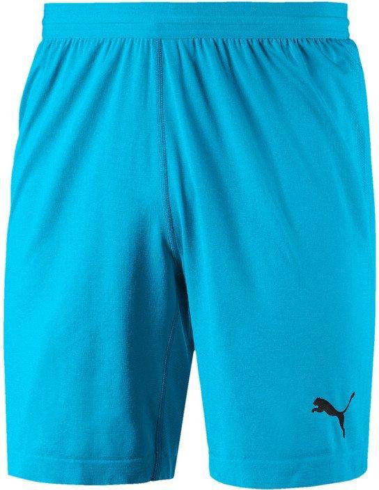 FINAL evoKNIT GK Shorts